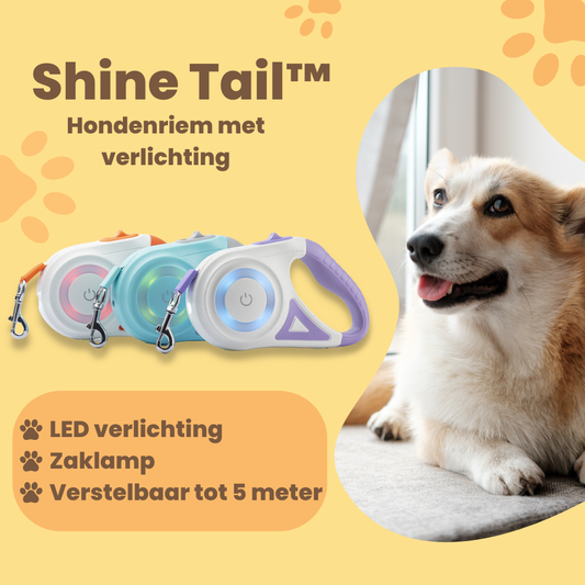 Shine Tail™ - Hondenriem met zaklamp en LED verlichting