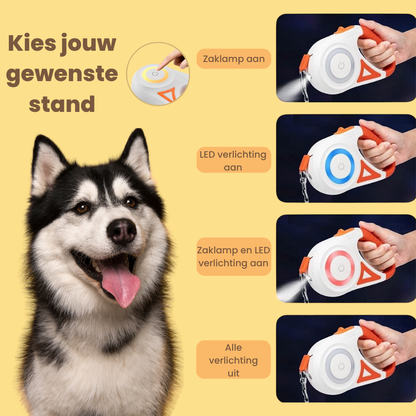 Shine Tail™ - Hondenriem met zaklamp en LED verlichting