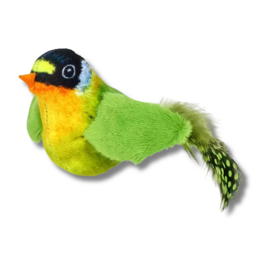 Kattenspeeltje met vogel geluid